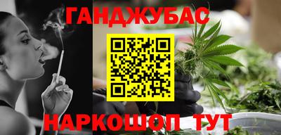 прущие грибы Гудермес