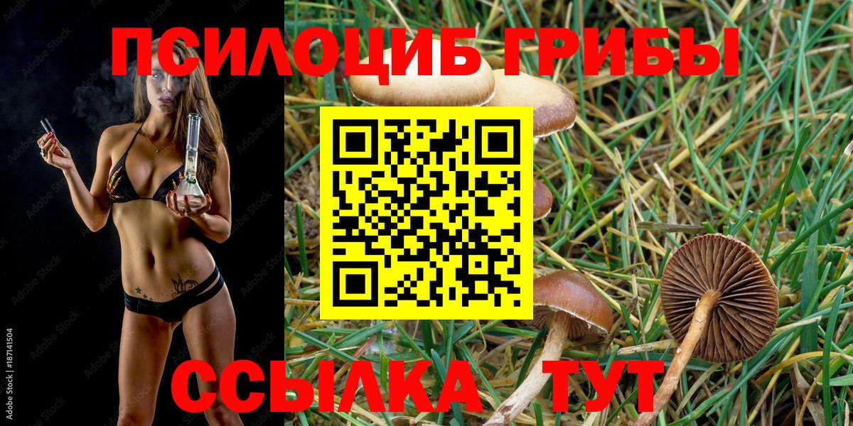 Псилоцибиновые грибы прущие грибы  Псилоцибиновые грибы прущие грибы  Вход с VPN  Норильск 